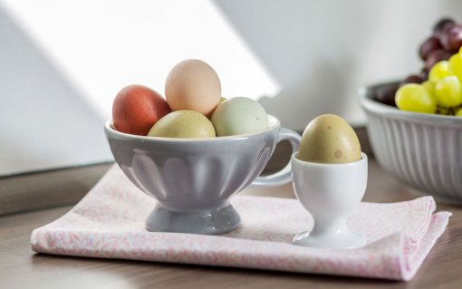 die Frühstücks-Eier von unseren Hühnern | Ferienwohnung 4